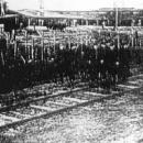 Internowani przed budynkami obozu aleksandrów 1921